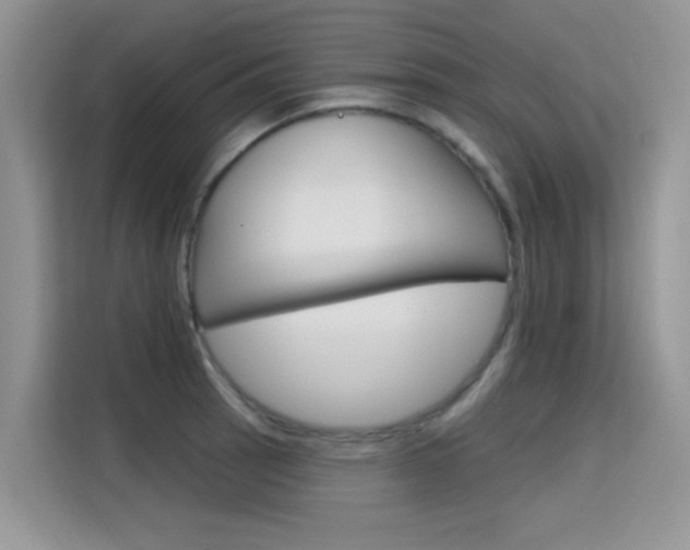 X0000115611137200911100926