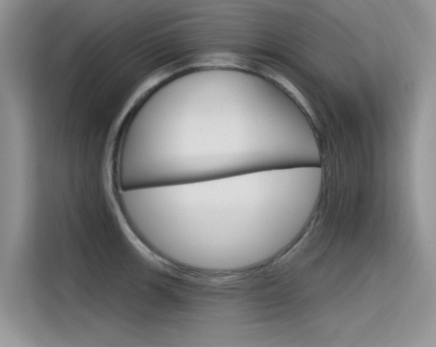 X0000115611139200911100926