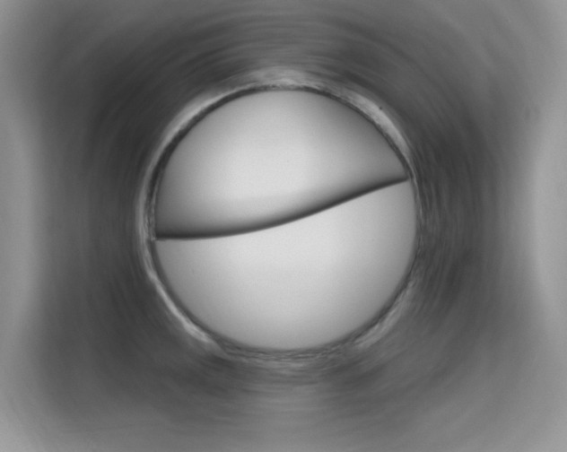 X0000115611141200911100926