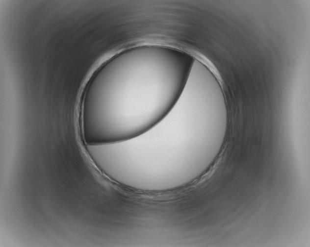 X0000115611146200911100926