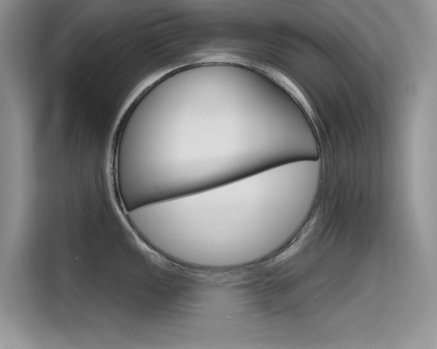 X0000115611149200911100926