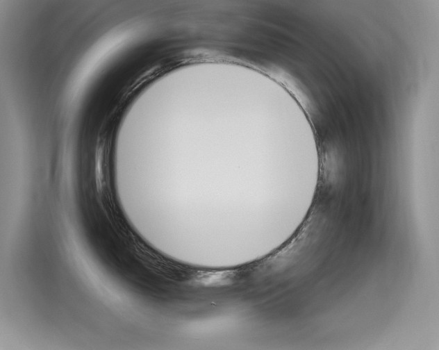 X0000115611150200911100926
