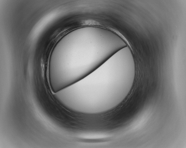 X0000115611151200911100926