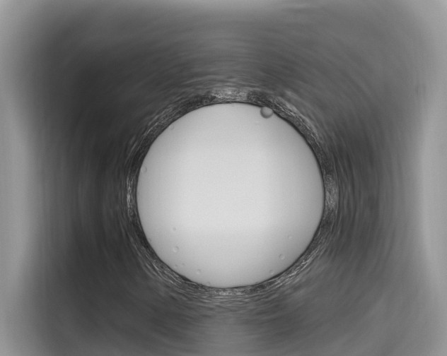 X0000115611154200911100926