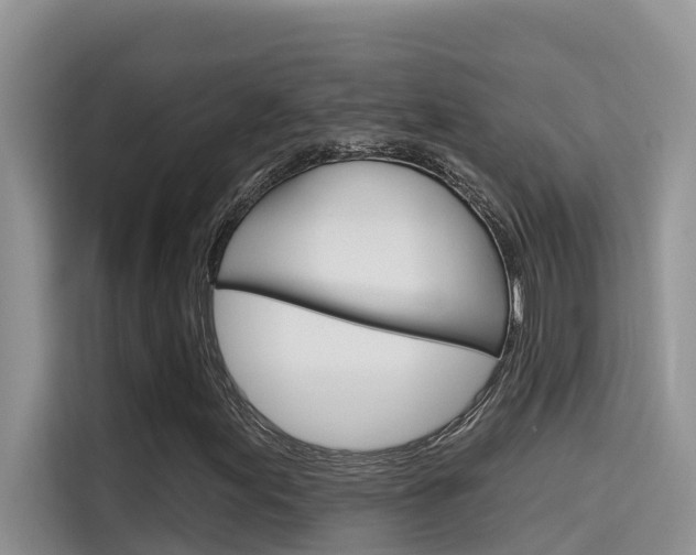 X0000115611155200911100926