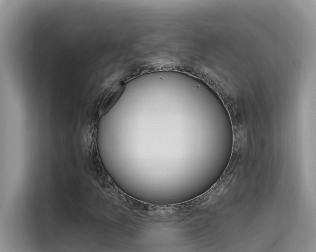 X0000115611157200911100926