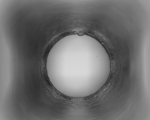 X0000115611158200911100926