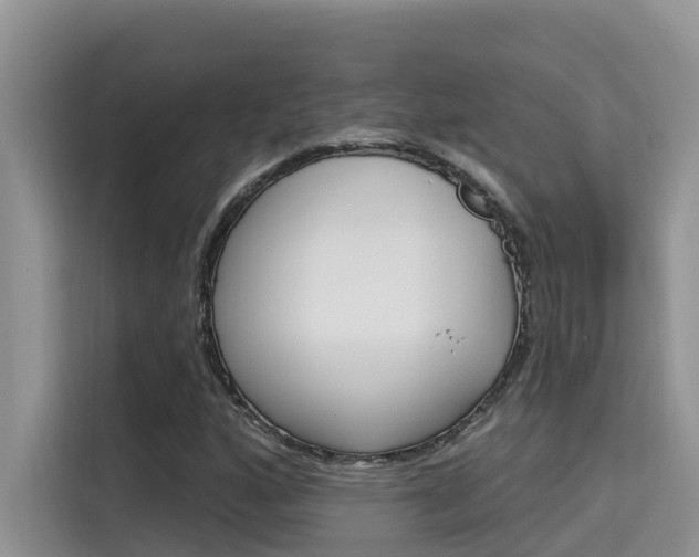 X0000115611160200911100926
