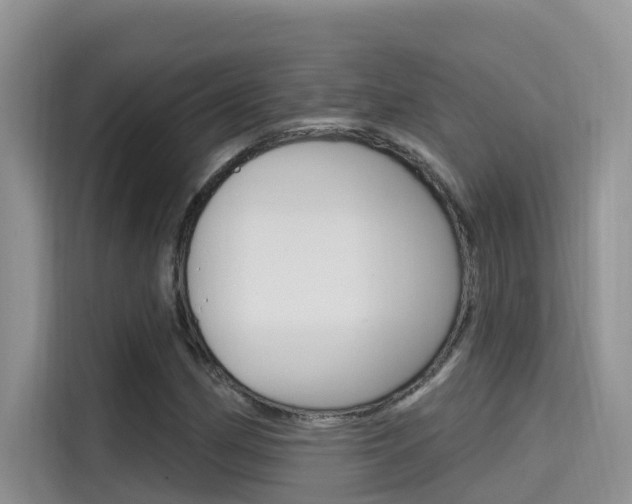 X0000115611162200911100926