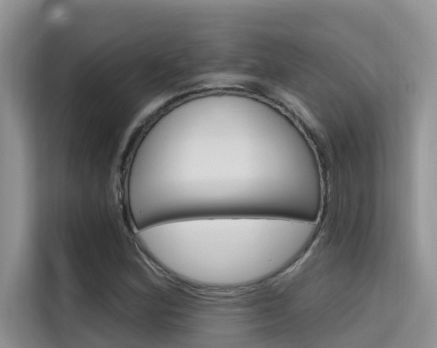 X0000115611164200911100926