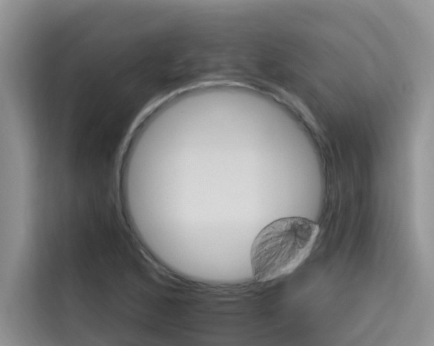 X0000115611168200911100926