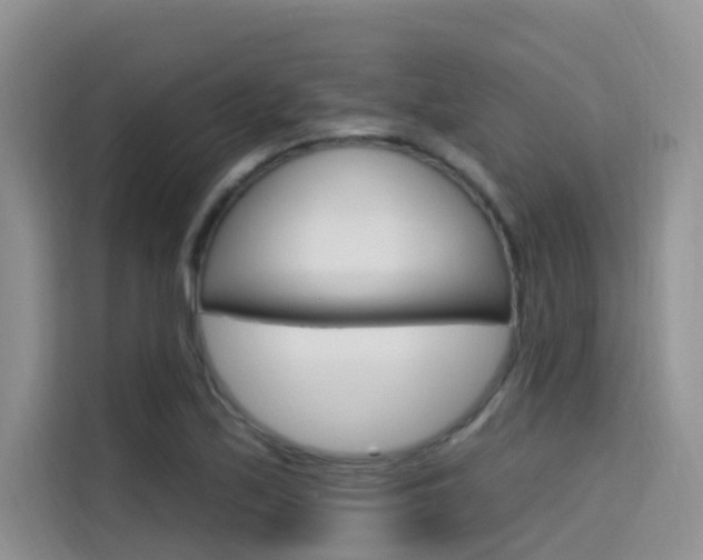 X0000115611171200911100926