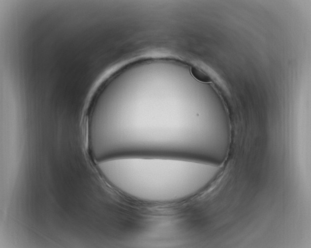 X0000115611175200911100926