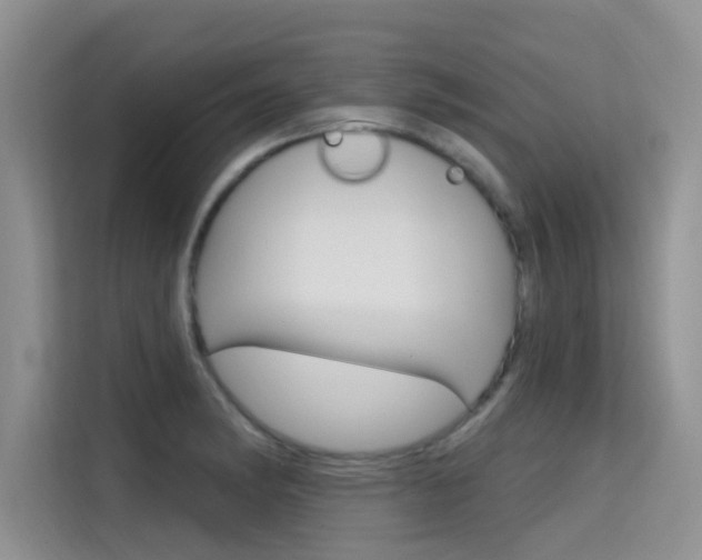 X0000115611182200911100925