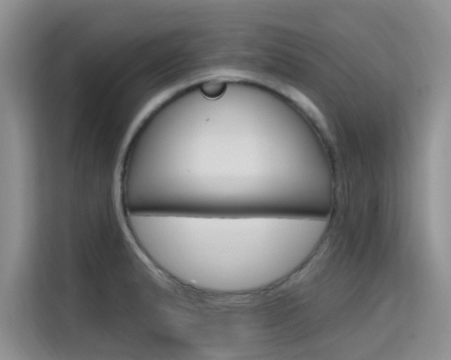 X0000115611183200911100925