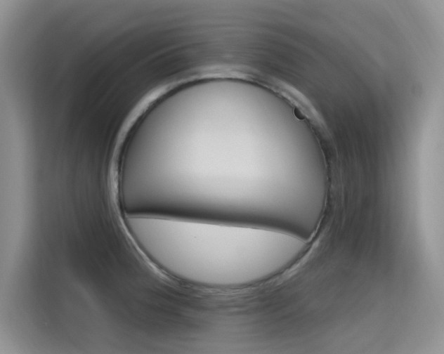 X0000115611188200911100925
