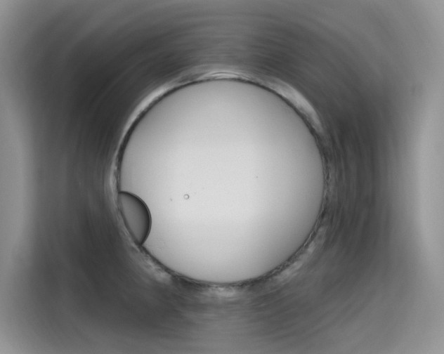 X0000115611190200911100925
