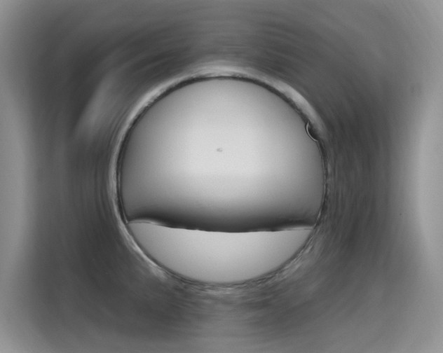 X0000115611191200911100925