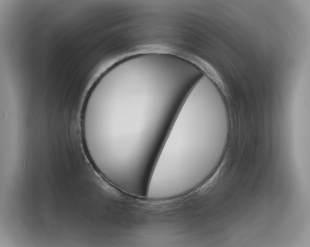 X0000115611192200911100925