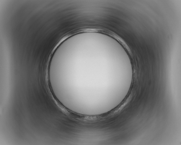 X0000115611194200911100925