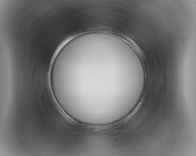 X0000115611196200911100925