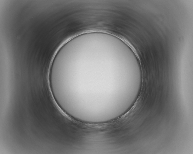 X0000115611197200911100925