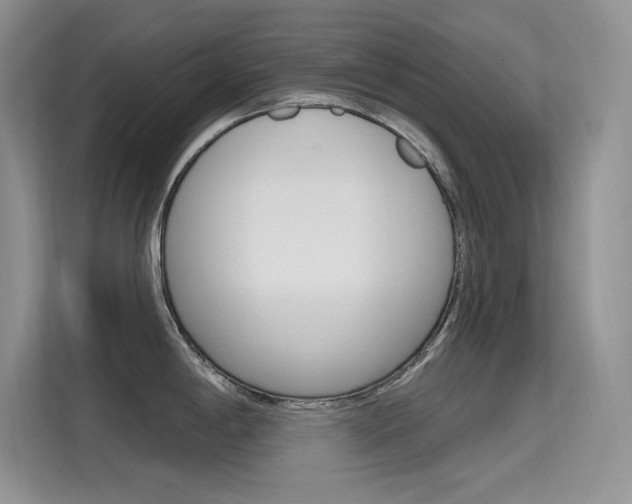 X0000115611198200911100925