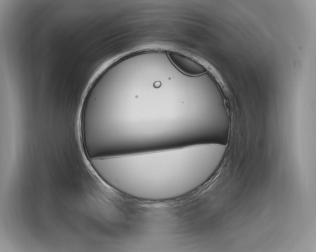 X0000115611199200911100925