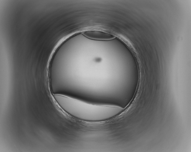 X0000115611200200911100925