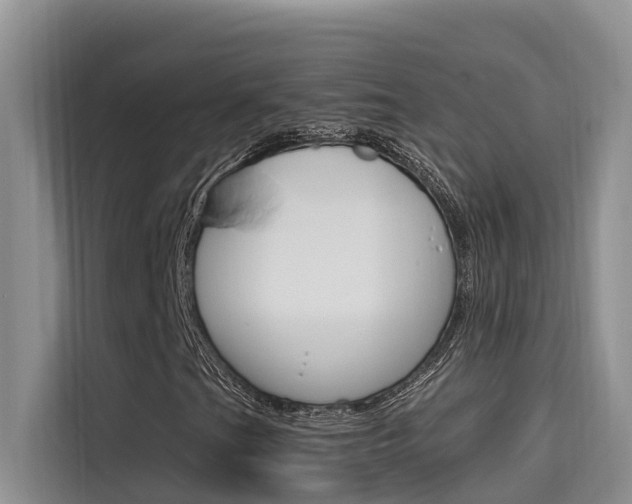 X0000115611201200911100925
