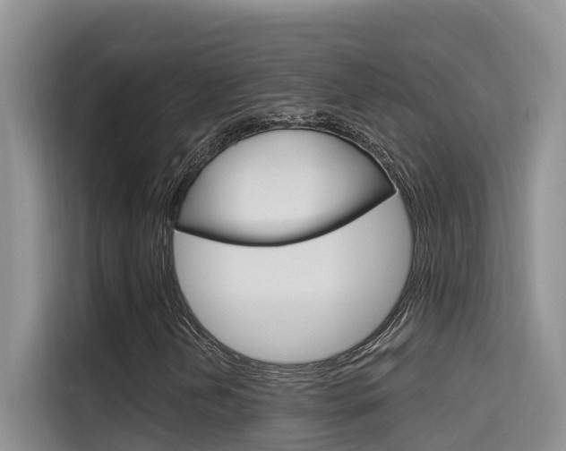 X0000115611202200911100925