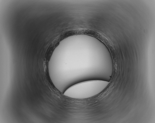 X0000115611204200911100925