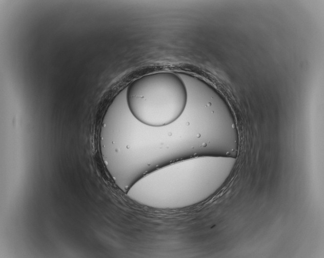 X0000115611205200911100925