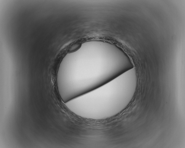 X0000115611206200911100925