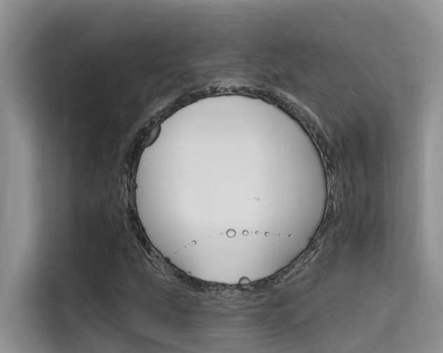X0000115611207200911100925