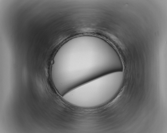 X0000115611209200911100925