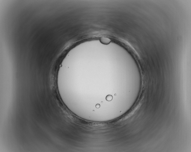 X0000115611211200911100925