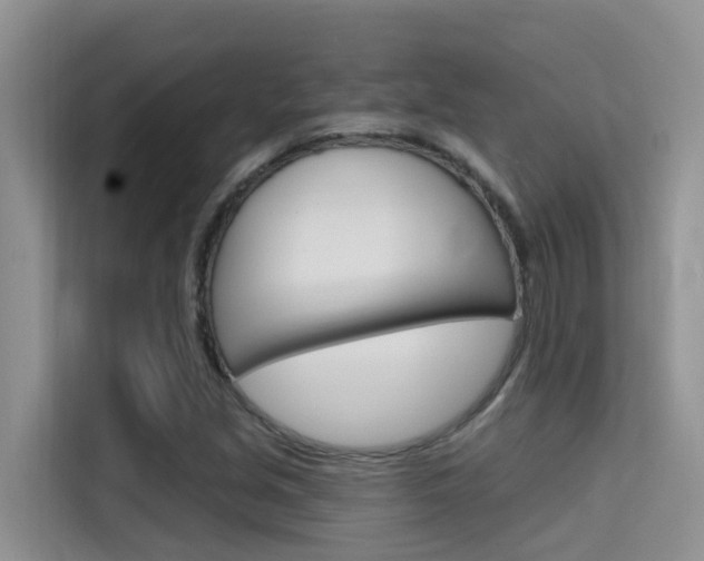 X0000115611213200911100925