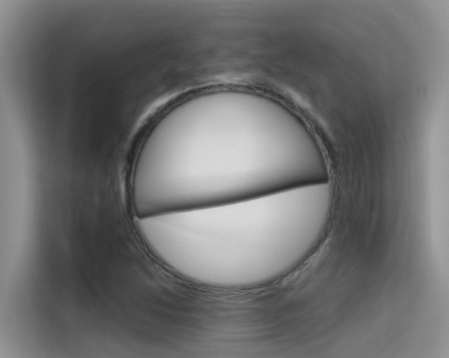 X0000115611214200911100925