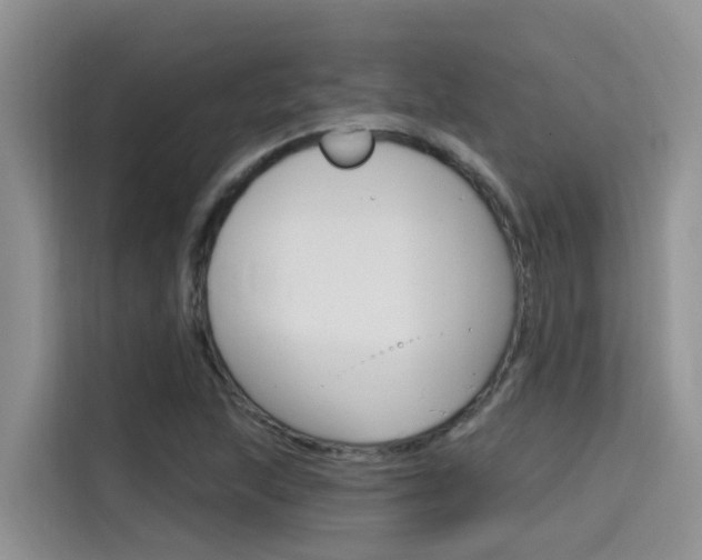 X0000115611215200911100925