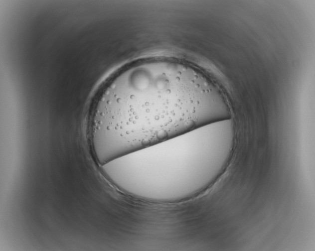 X0000115611216200911100925