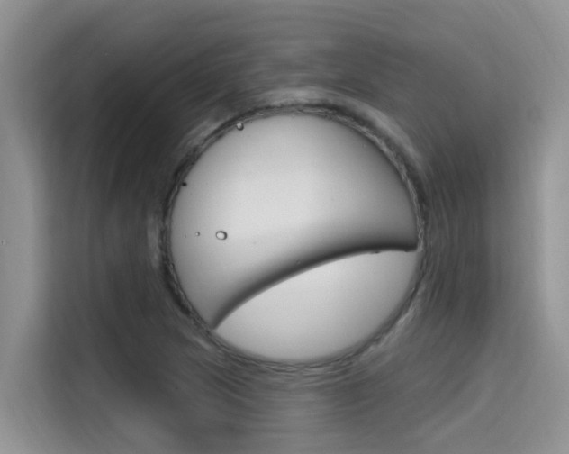 X0000115611217200911100925