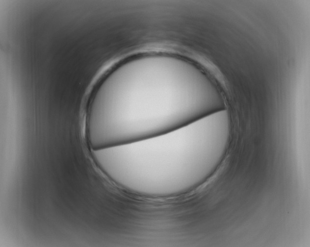 X0000115611224200911100925