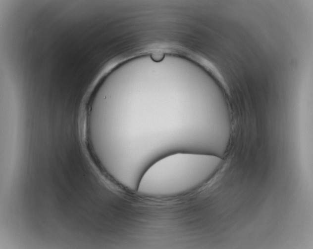 X0000115611227200911100925
