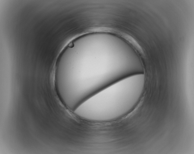X0000115611228200911100925