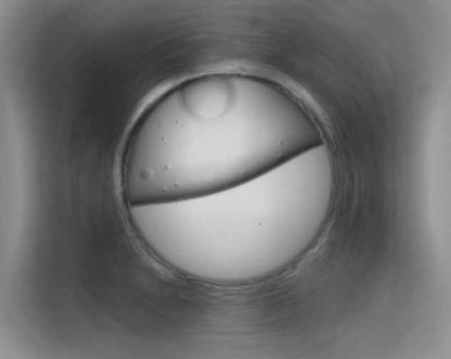 X0000115611230200911100925
