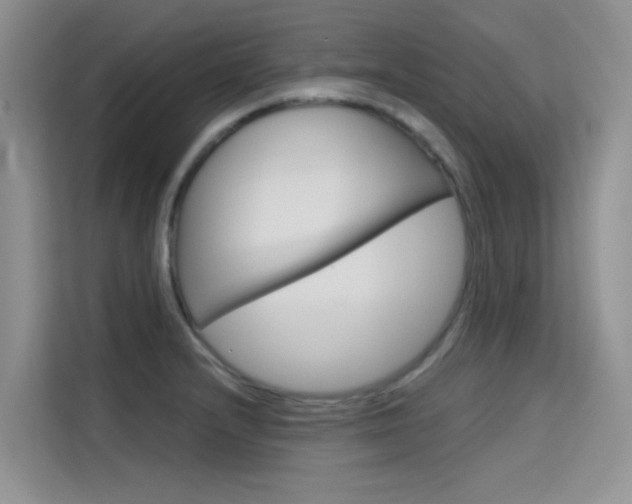 X0000115611232200911100925