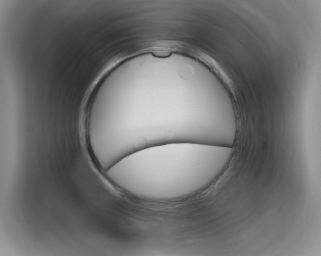 X0000115611235200911100925