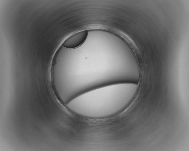 X0000115611236200911100925