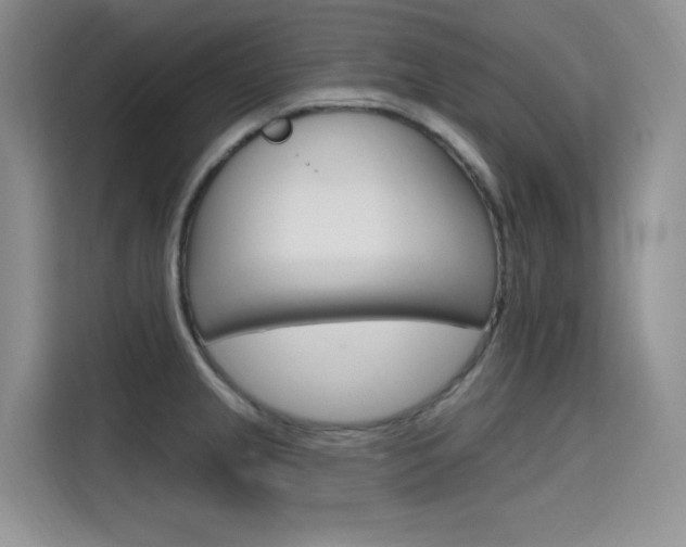X0000115611237200911100925